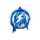 fns991.png